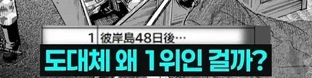 일본 여고생들이 제일 많이보는 만화_19.webp
