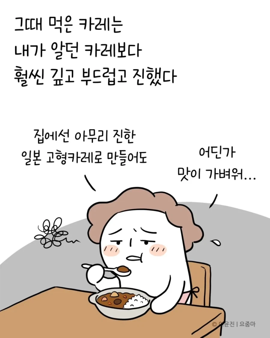 일본에서 오래전에 먹은 카레맛을 드디어 재현했다.manhwa_4.webp