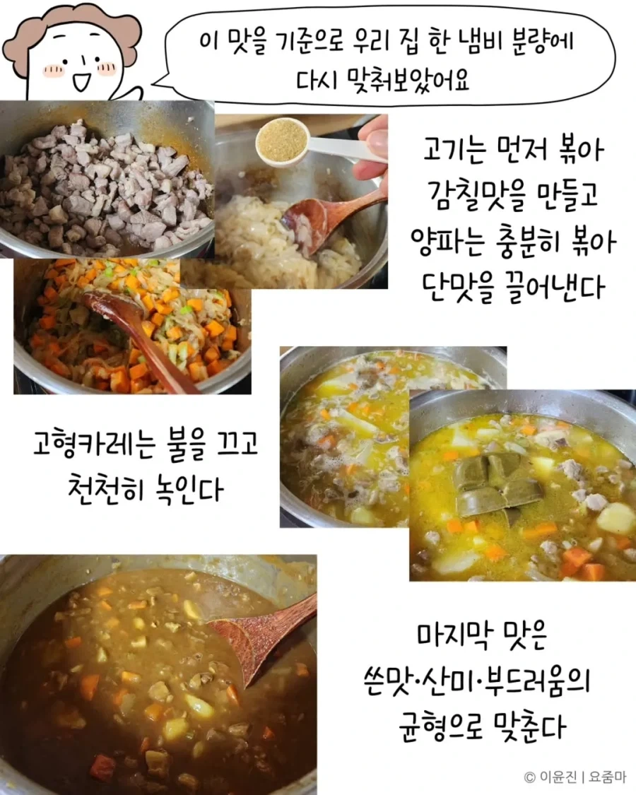 일본에서 오래전에 먹은 카레맛을 드디어 재현했다.manhwa_14.webp