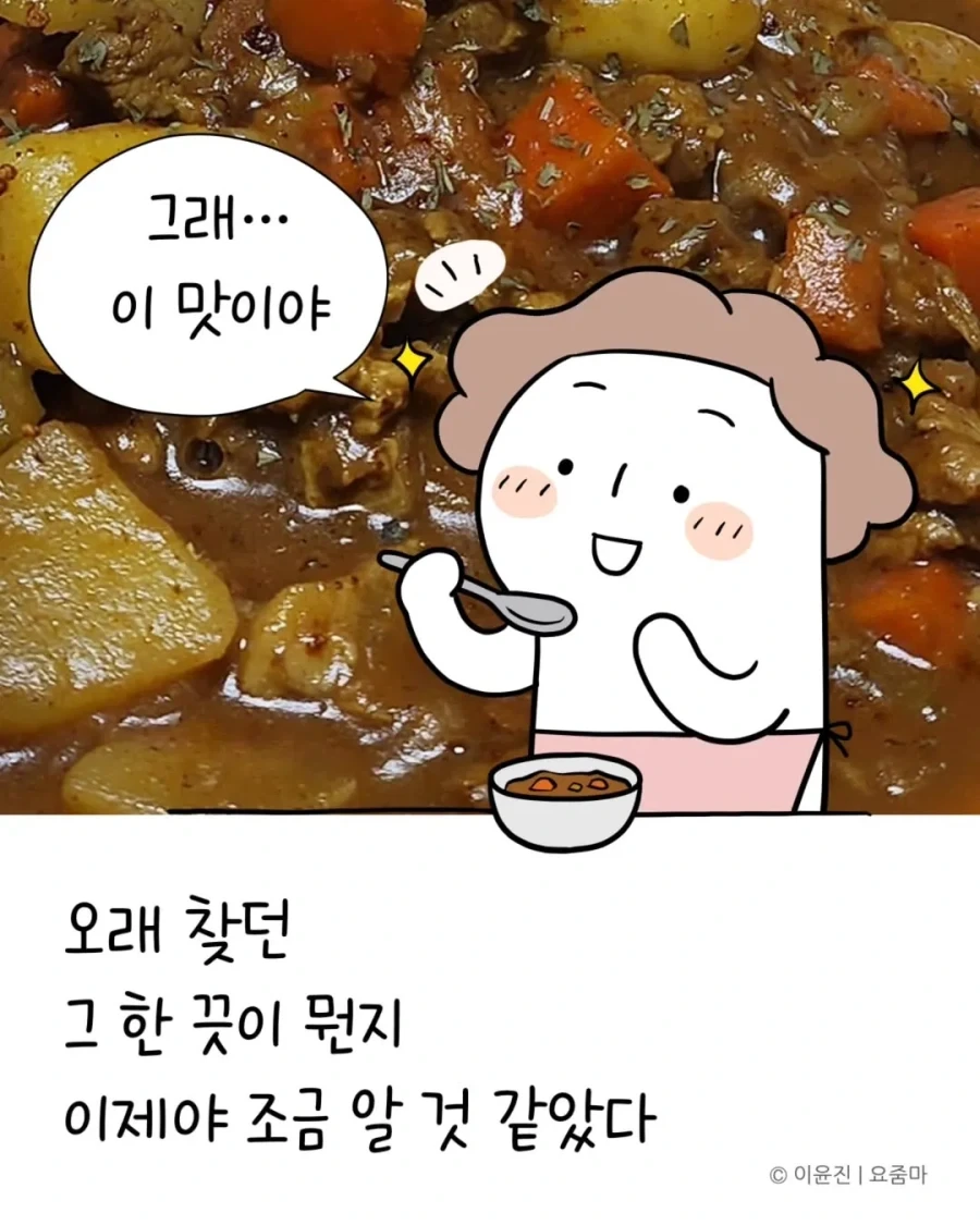 일본에서 오래전에 먹은 카레맛을 드디어 재현했다.manhwa_15.webp