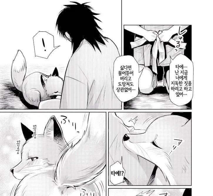 은혜갚는 여우.manhwa_3.webp
