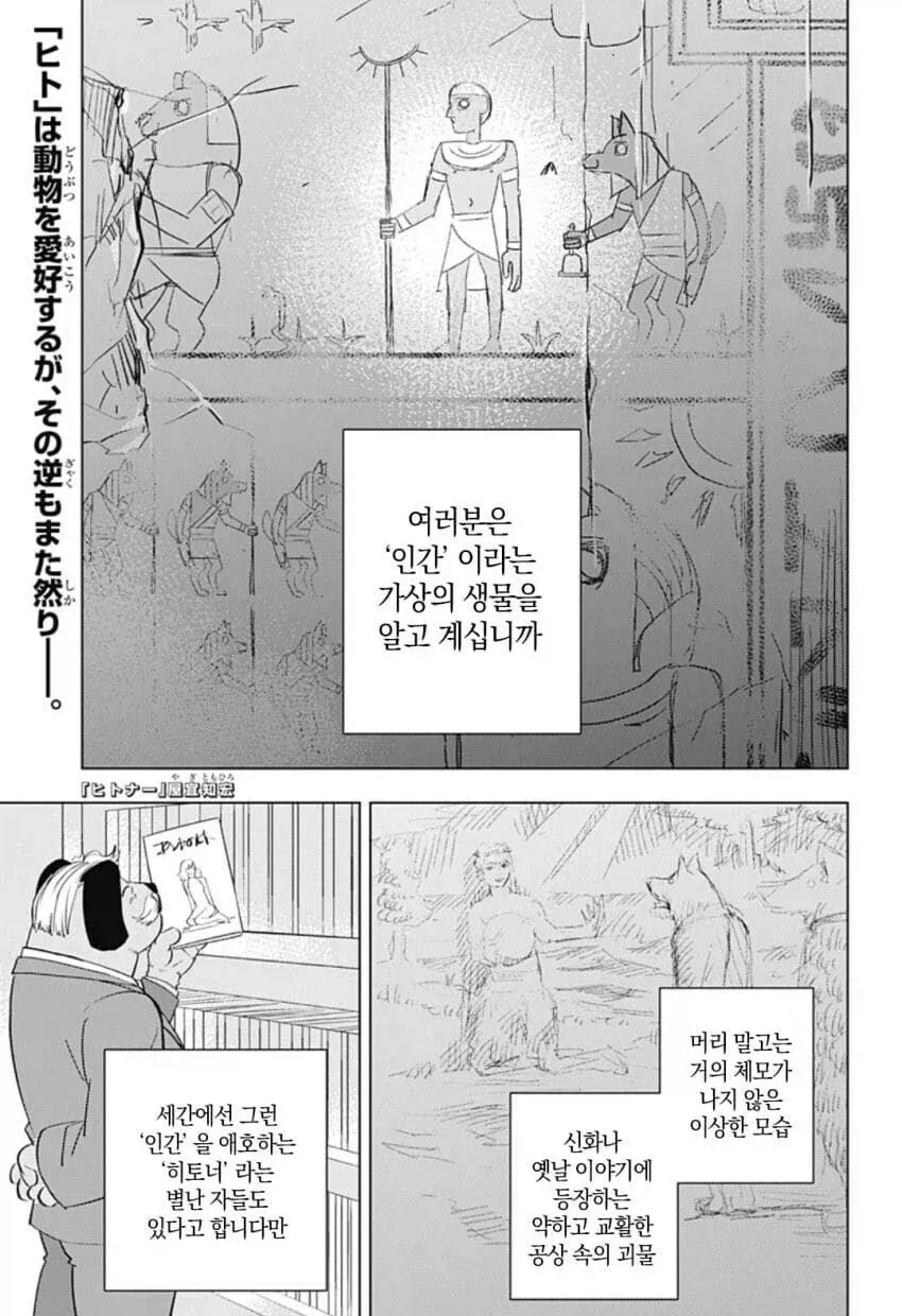 @) 코토네는 귀엽구나 대표 이미지