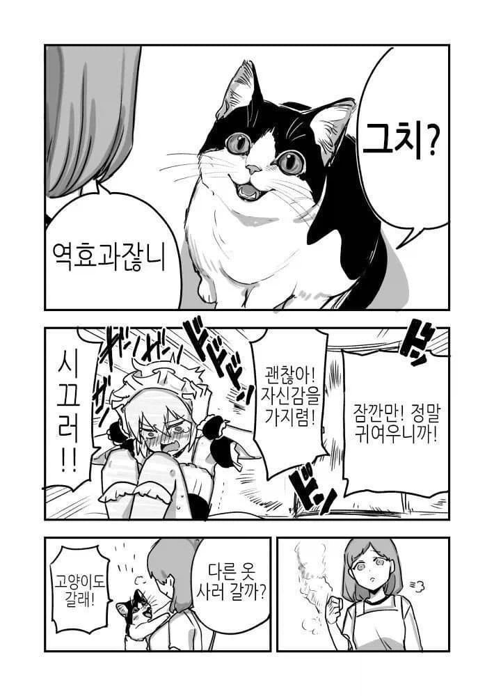 고양이를 키워야 하는 이유.manhwa_7.webp