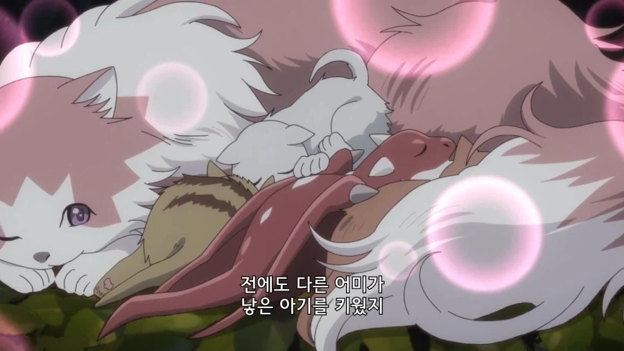 경험많은 엄마 고양이_6.webp