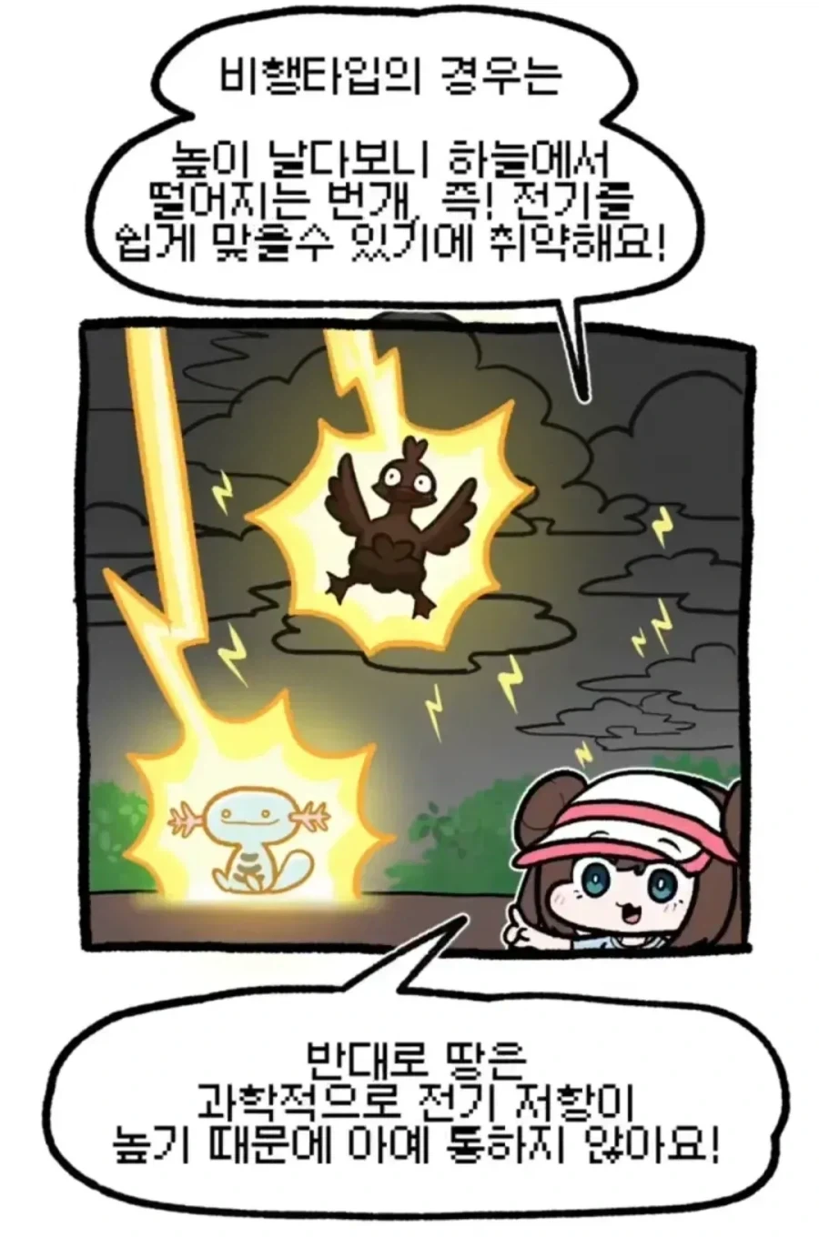 포켓몬 상성 외우는 만화_2.webp
