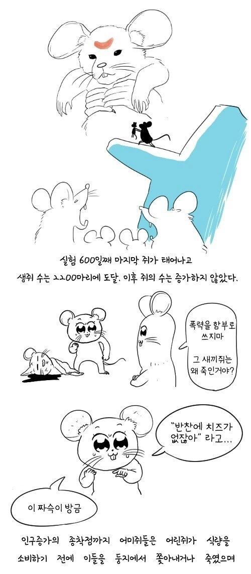 manga_1028916_003_3ecfd6583155.webp