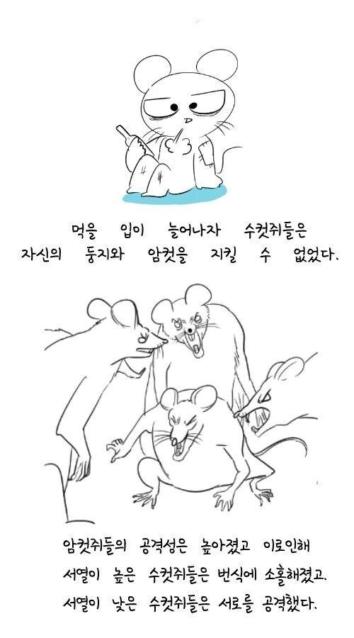 manga_1028916_004_9f3f5677c5a7.webp