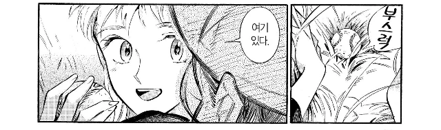 manga_2274325_016_79397717b21d.webp