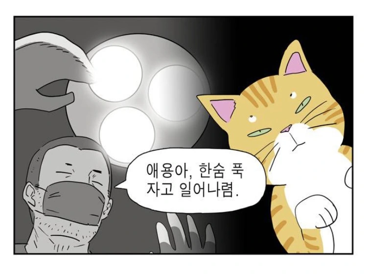 manga_3326331_003_9e43ee52b42e.webp