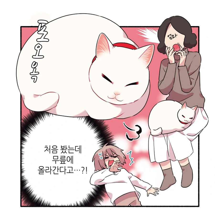 6년 동안 길거리 생활을 해온 길고양이를 입양했다.manhwa_2.png