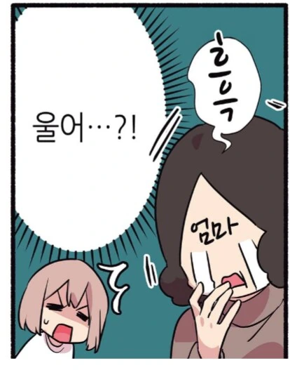 6년 동안 길거리 생활을 해온 길고양이를 입양했다.manhwa_3.png