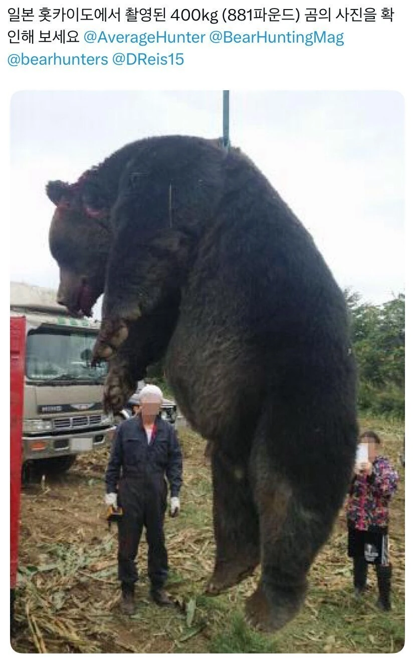 지금 와서 보니 설정이 이해되는 일본 만화.JPG_4.jpg
