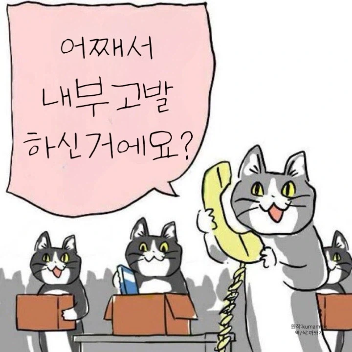 일본 ㅈ소기업의 좋았쓰! 고양이 .manwha_6.webp