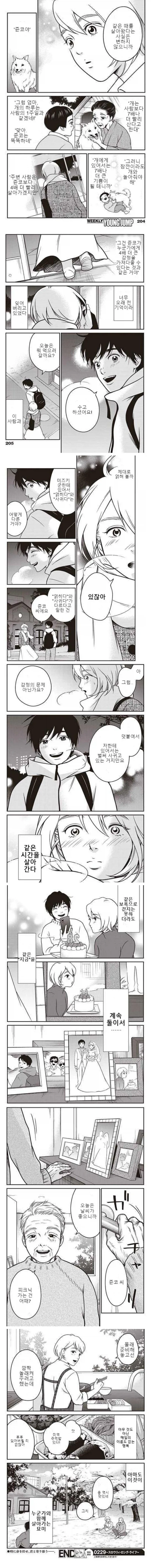 4년에 한 살씩 나이를 먹는 여자 만화.manga_3.webp