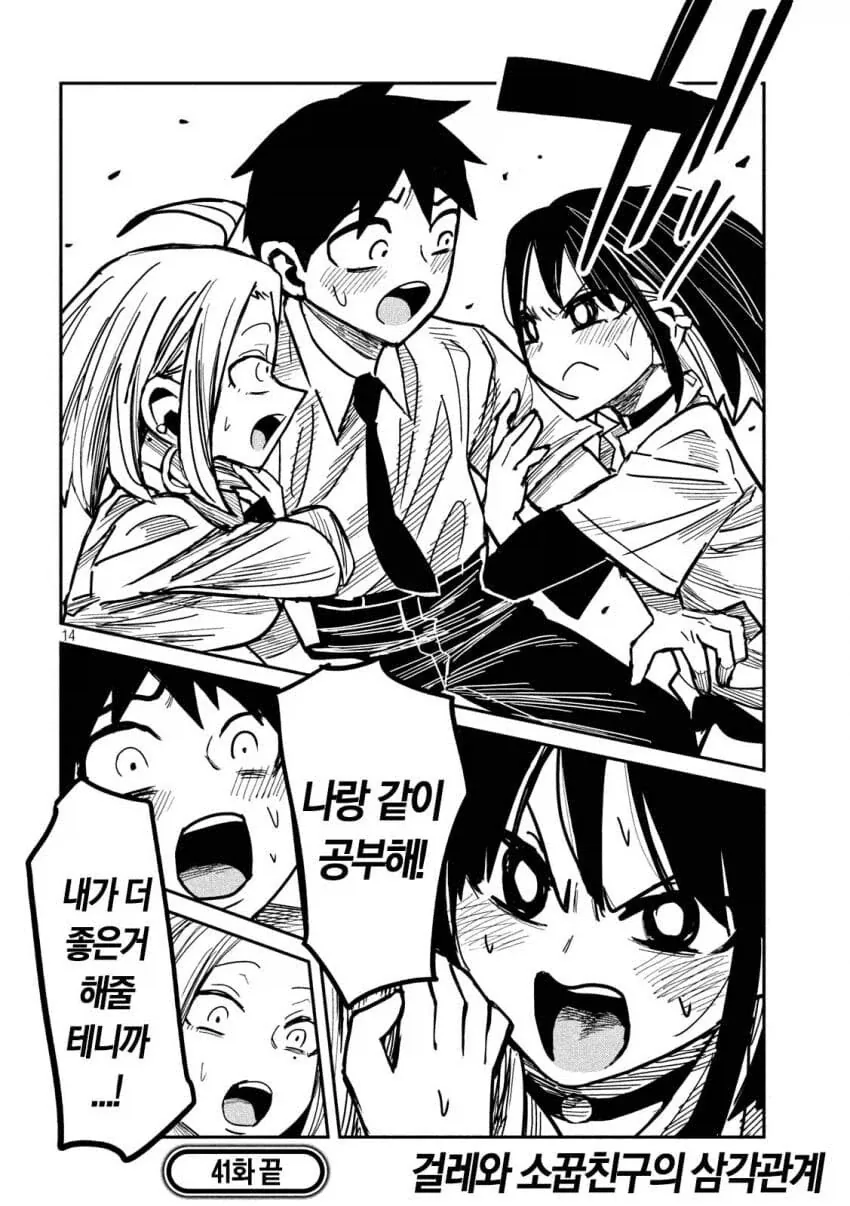 개족보순애manga 이미지 11