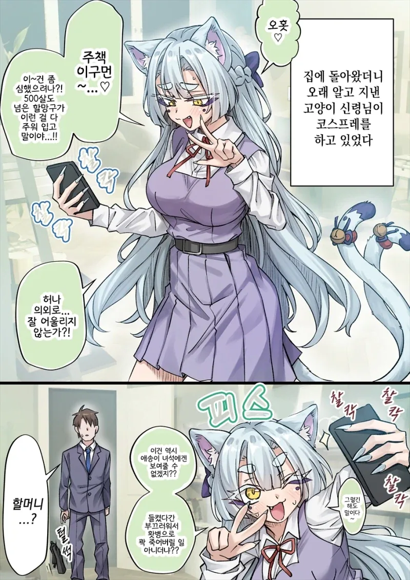 고양이 손을 빌려서 큰 대가를 치르는 만화_5.webp