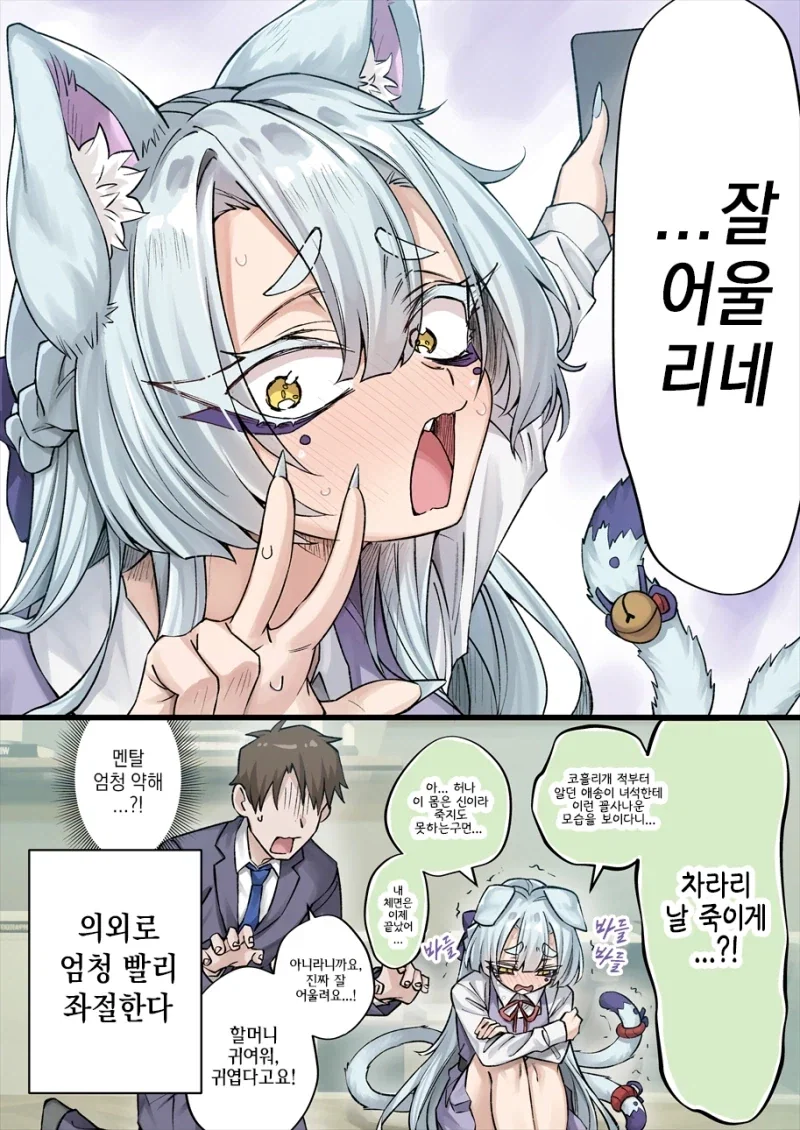 고양이 손을 빌려서 큰 대가를 치르는 만화_6.webp