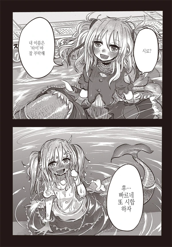 인어의 꽃바구니_30.jpg