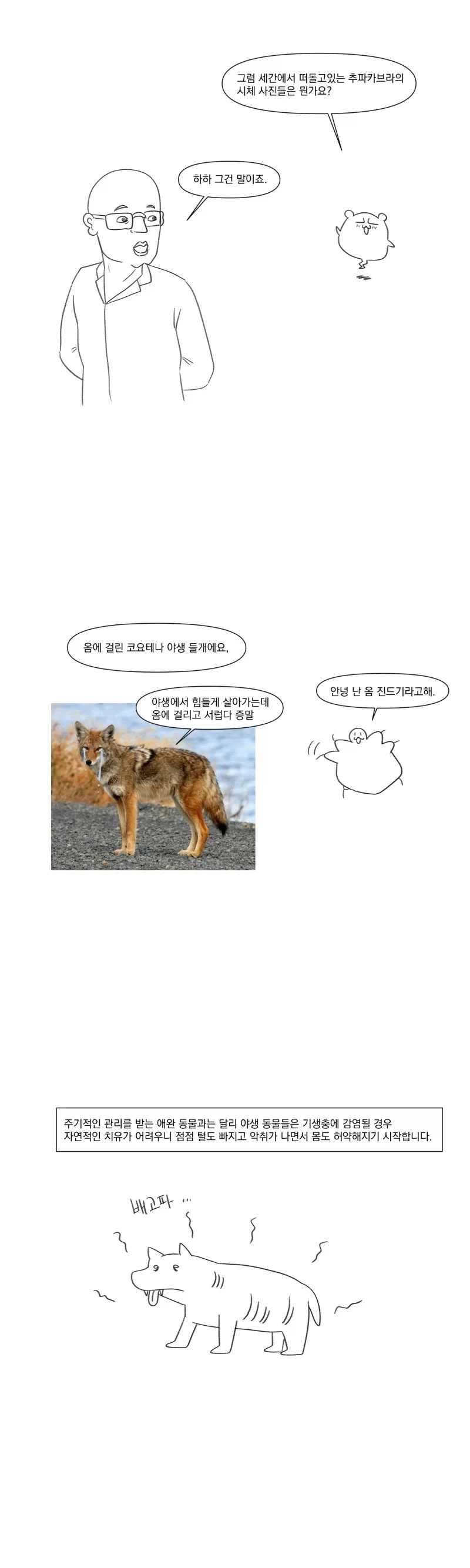 츄파카브라의 진실.manhwa_7.webp