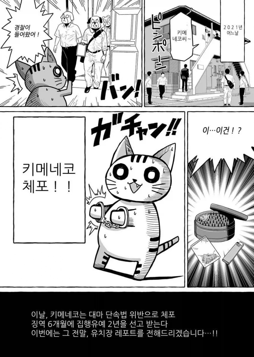 의외로 약빨고 그렸나는 의심이 없는 만화.manga_2.webp