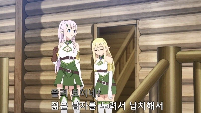 라노벨이나 만화 안팔려서 정발 끊을수는 있어도 말이지 이미지 20