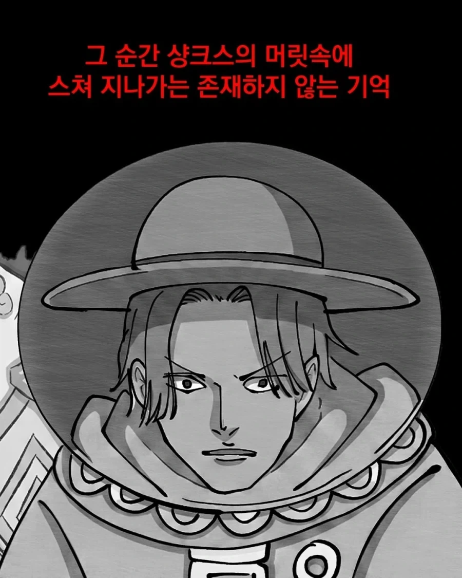 원피스) 해적왕이 되고픈 루피의 선택+_18.webp