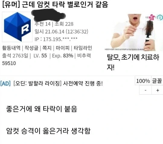 체스의 룰