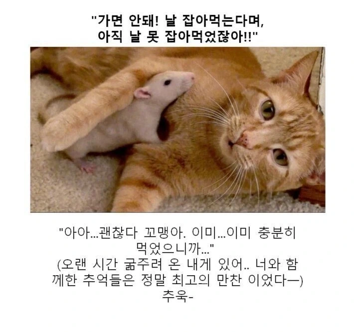 운동 아지매 이미지 7