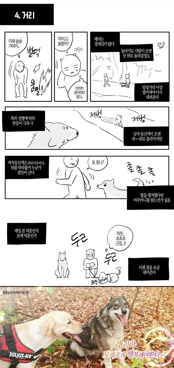 산에서 조난당했는데 유기견을 만난.manhwa_7.webp