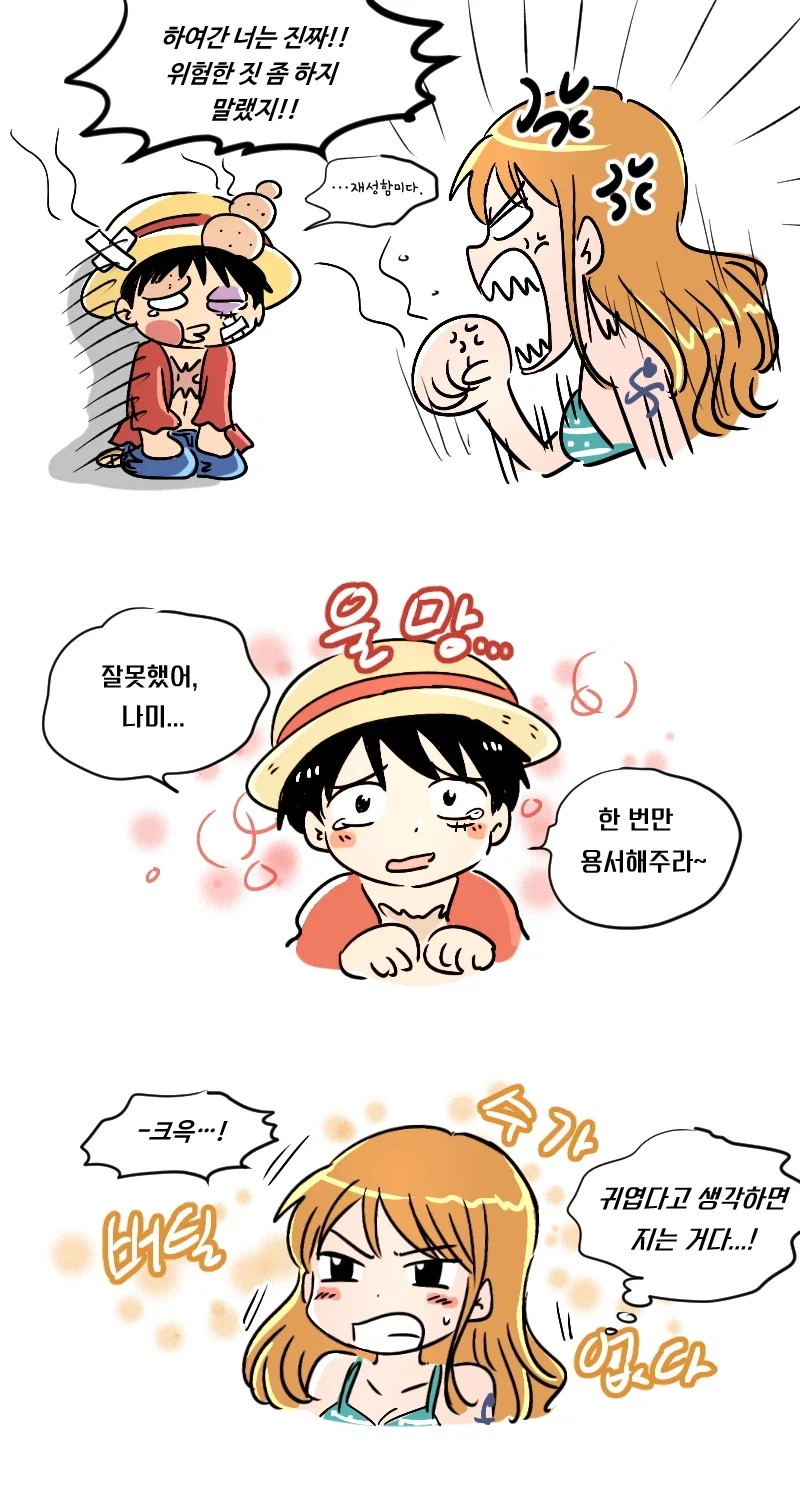 원피스 팬아트) 누나한테 용돈달라 조르는 만화_3.webp