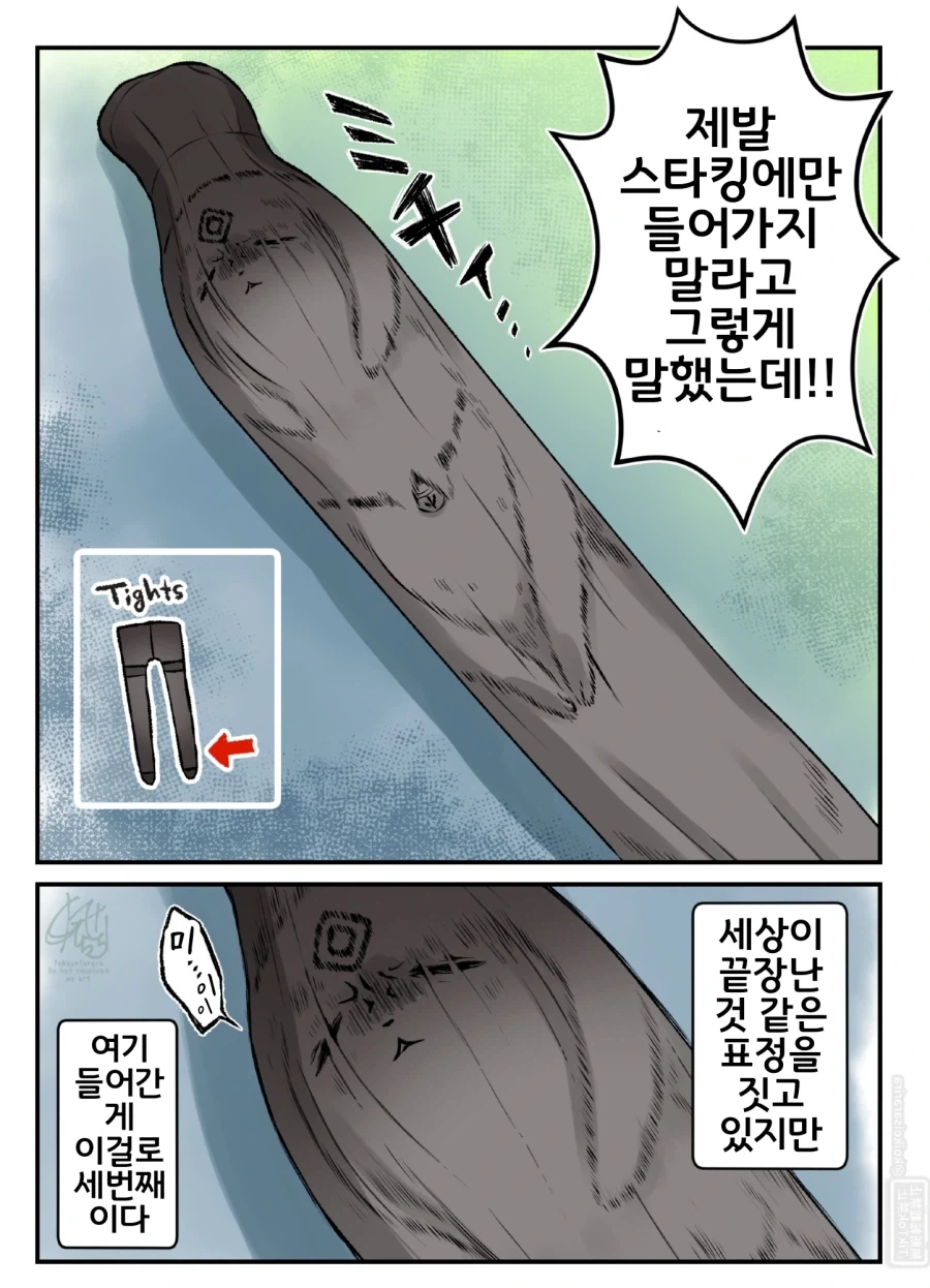 번역)대롱 여우와 빨래.manhwa_2.webp