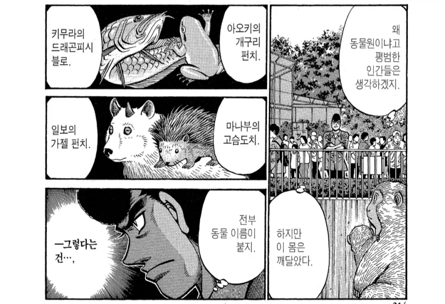 전국안경협회에서 나왔습니다 이미지 12