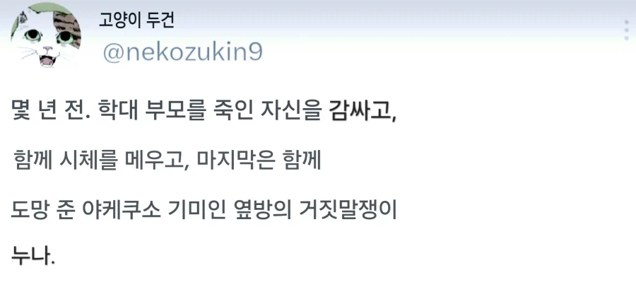 같이 도망쳐주는 거짓말쟁이 누나 만화_3.webp
