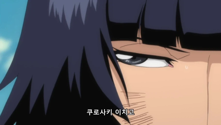 블리치) 소이퐁 답지 않았던 말_14.webp