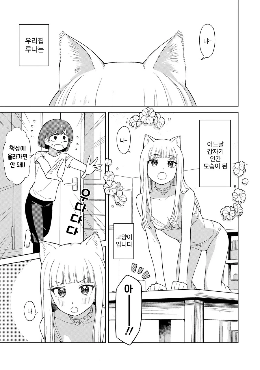 백합)고양이랑 보비는 만화_2.png