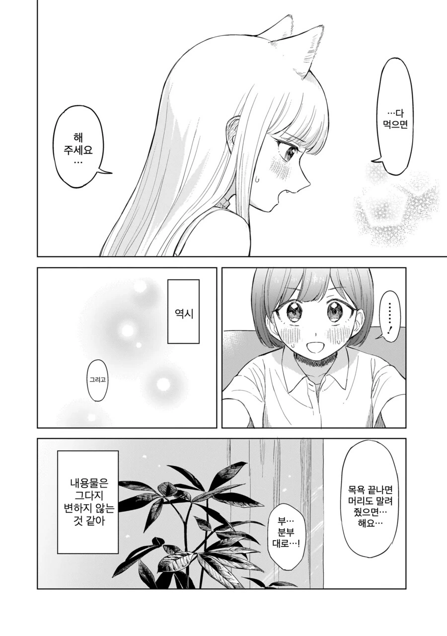 백합)고양이랑 보비는 만화_17.png