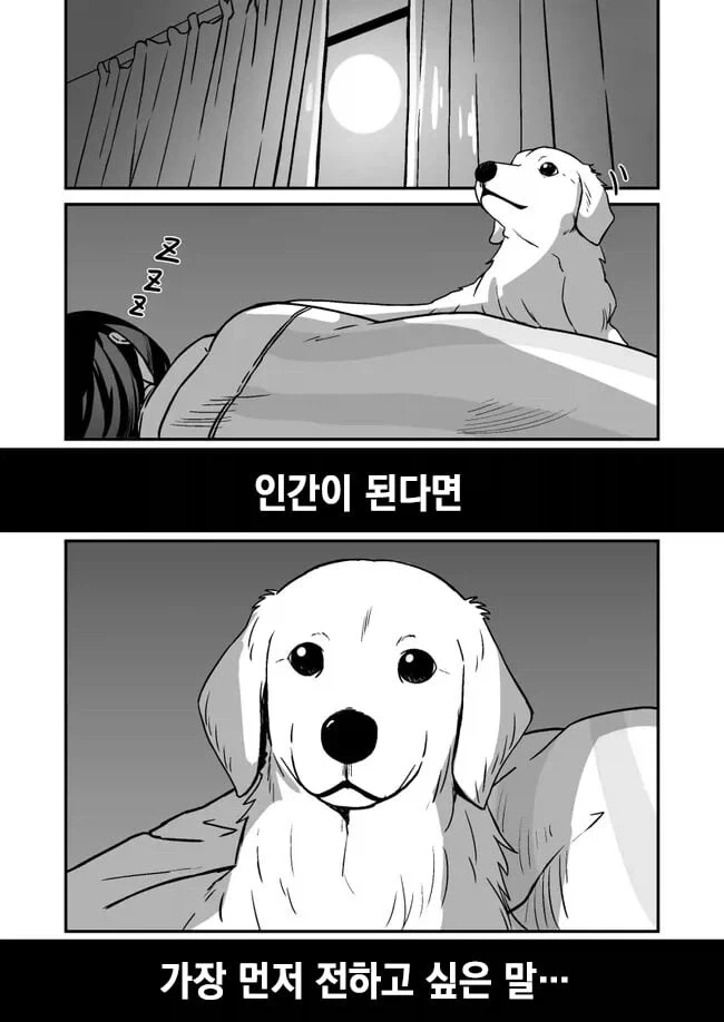기르던 개가 사람이 되는 망가_2.webp