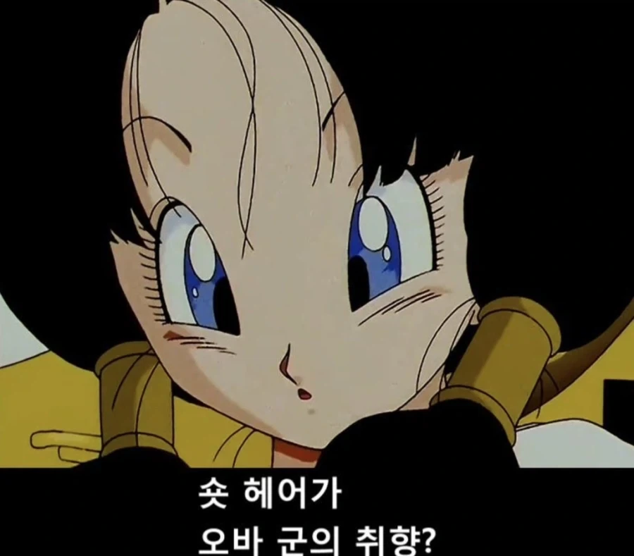 드래곤볼) 손오공이 비델의 복수를 해준 세계선_2.webp