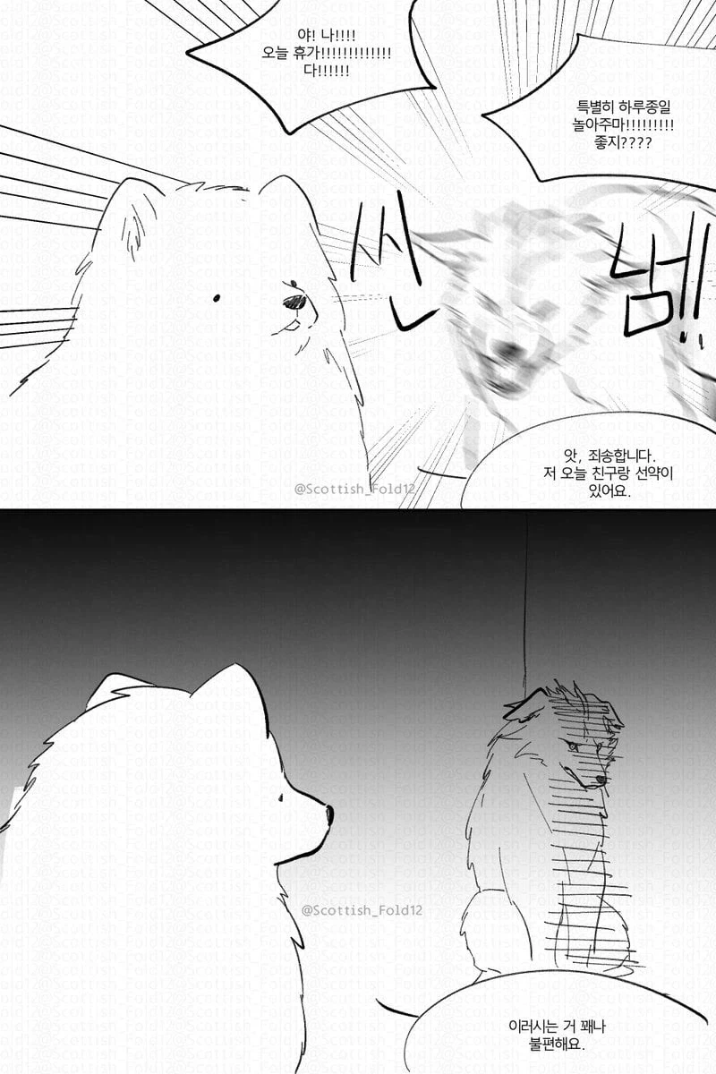 앙냥냥 만화_2.webp