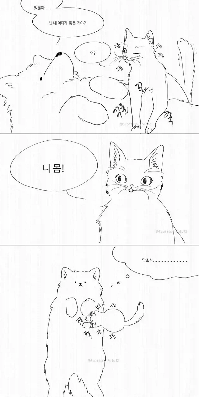 앙냥냥 만화_4.webp