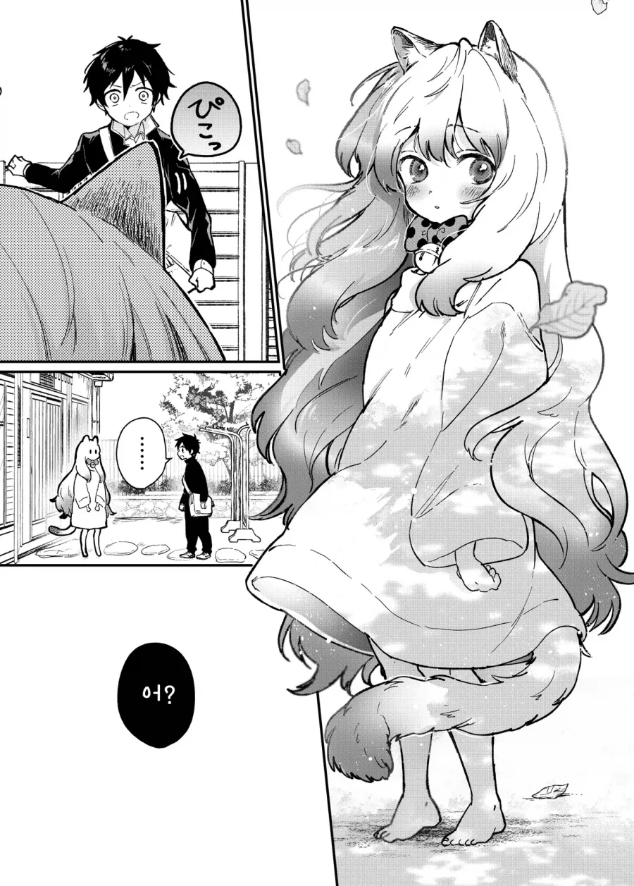여자애보다 고양이가 더 귀여워 .manwha_4.webp