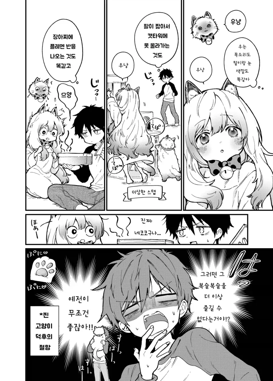 여자애보다 고양이가 더 귀여워 .manwha_8.webp