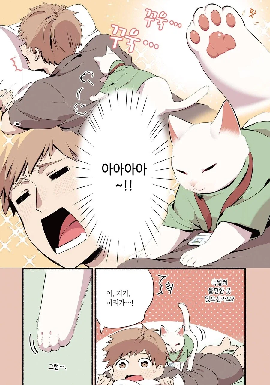 진짜 고양이가 마사지하는 만화_4.webp