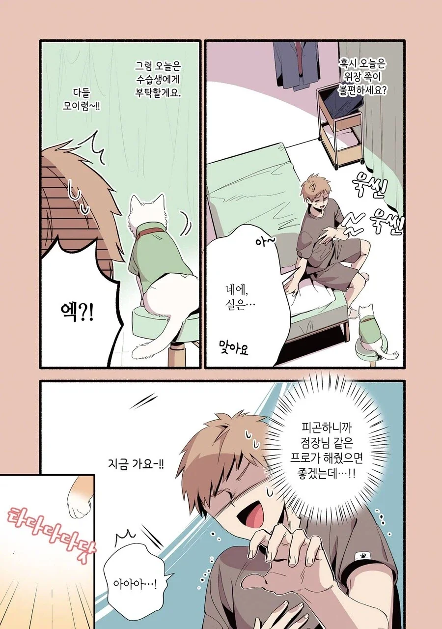 진짜 고양이가 마사지하는 만화_8.webp