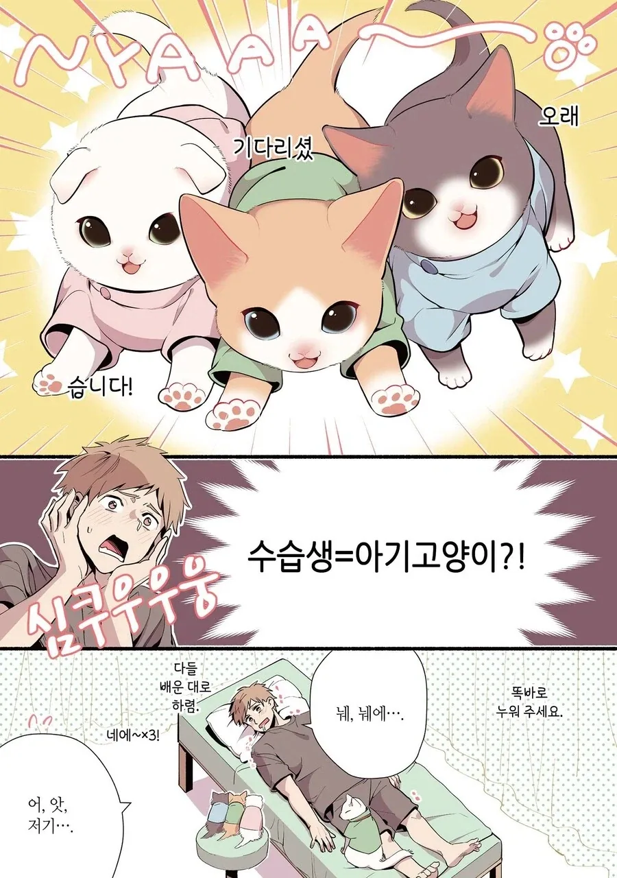 진짜 고양이가 마사지하는 만화_9.webp