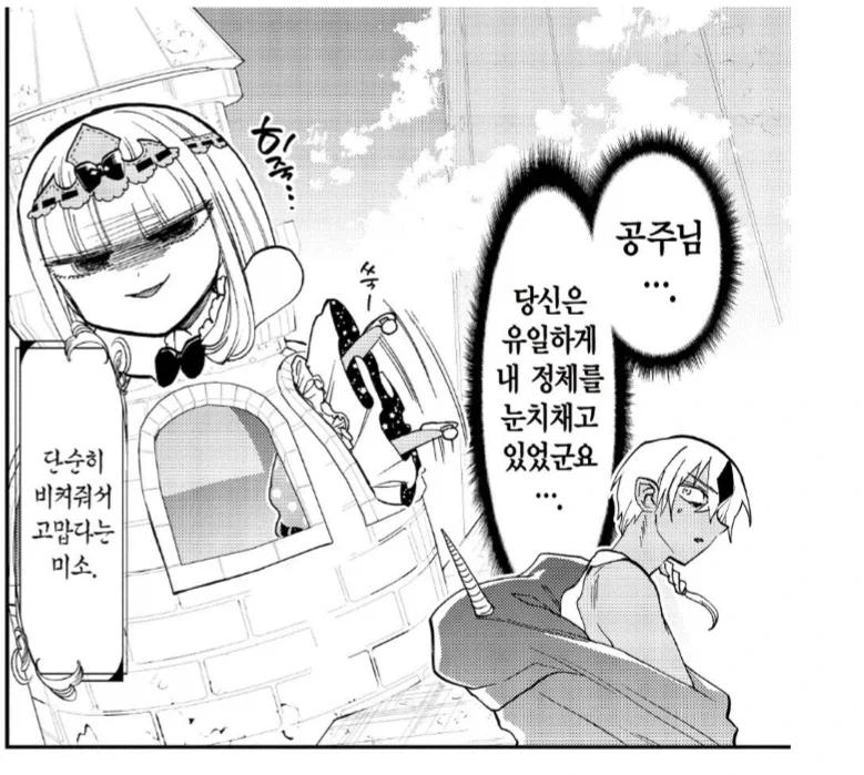 마왕성에 잠입한 마족과 인간의 혼혈.manhwa_4.webp