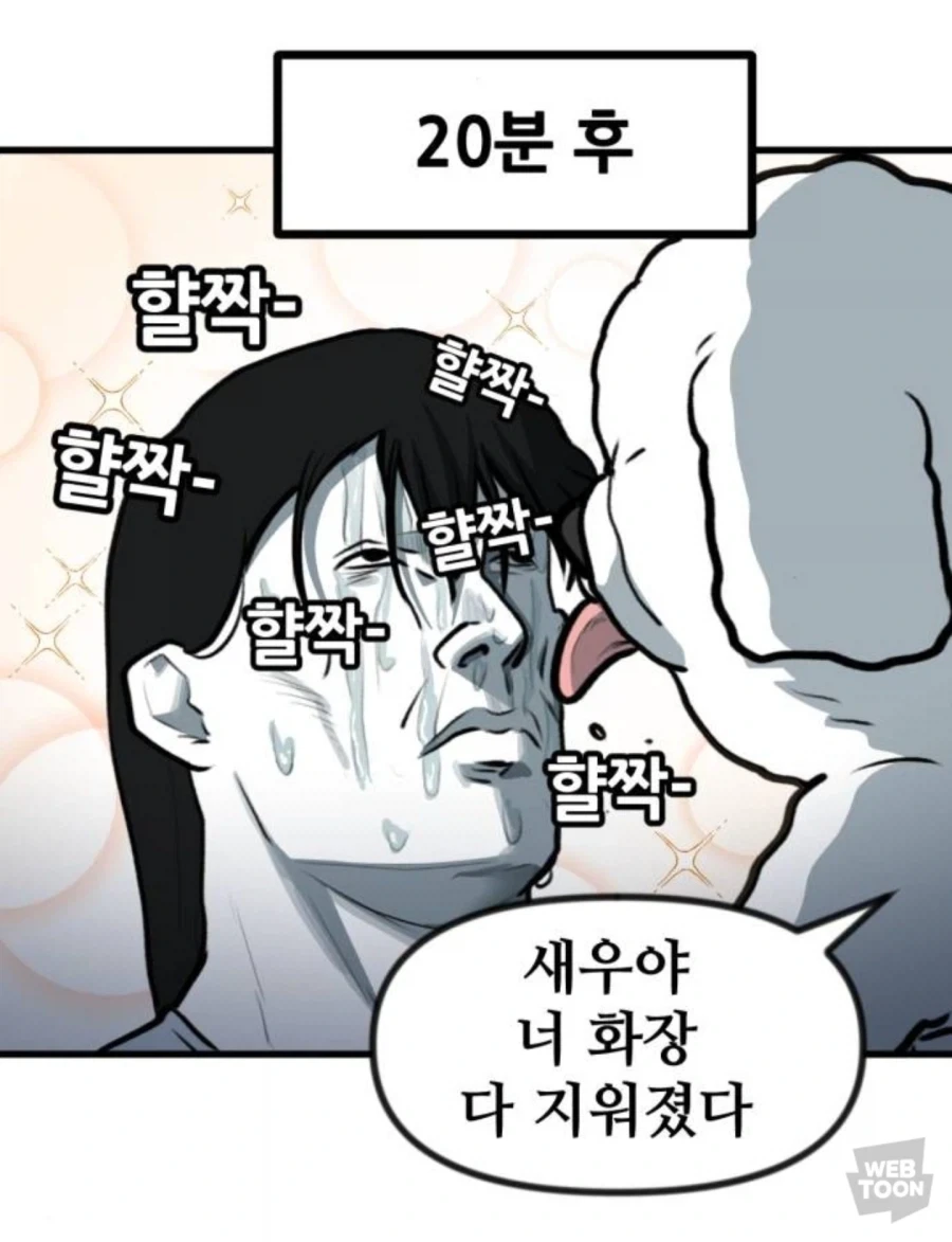 고양이만 키우다 강아지 만나본 뽈쟁이_9.webp