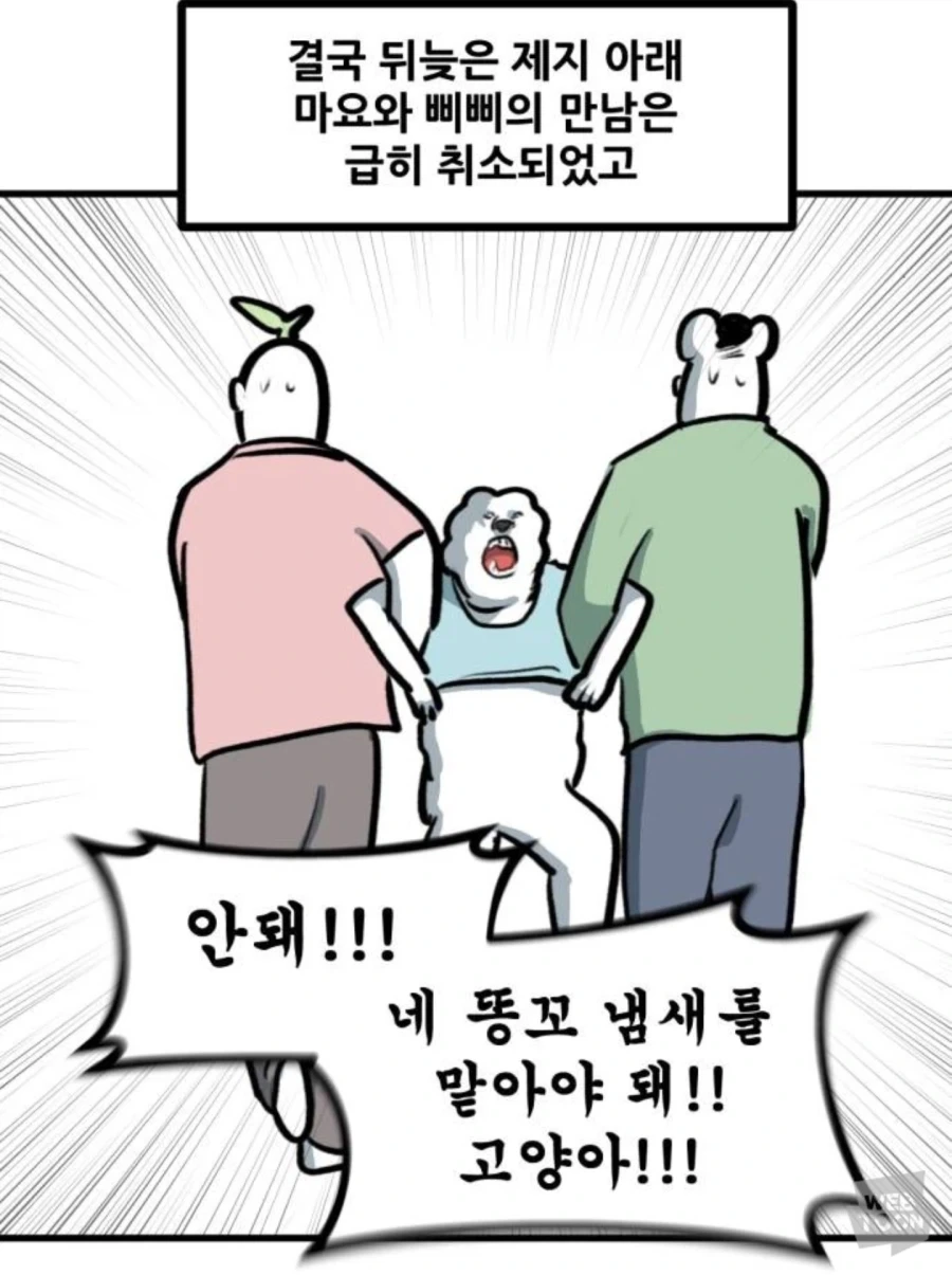 고양이만 키우다 강아지 만나본 뽈쟁이_17.webp