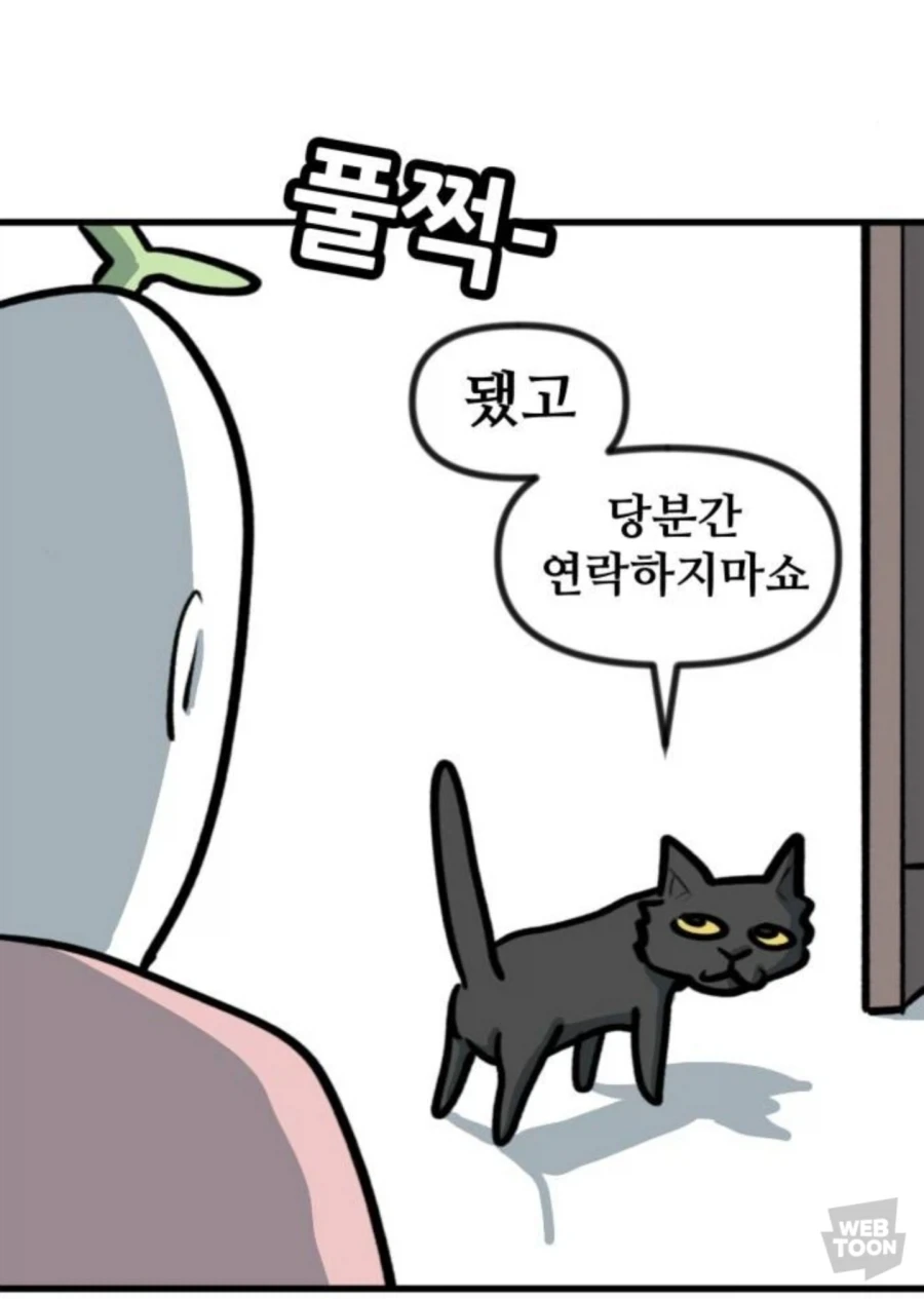 고양이만 키우다 강아지 만나본 뽈쟁이_18.webp