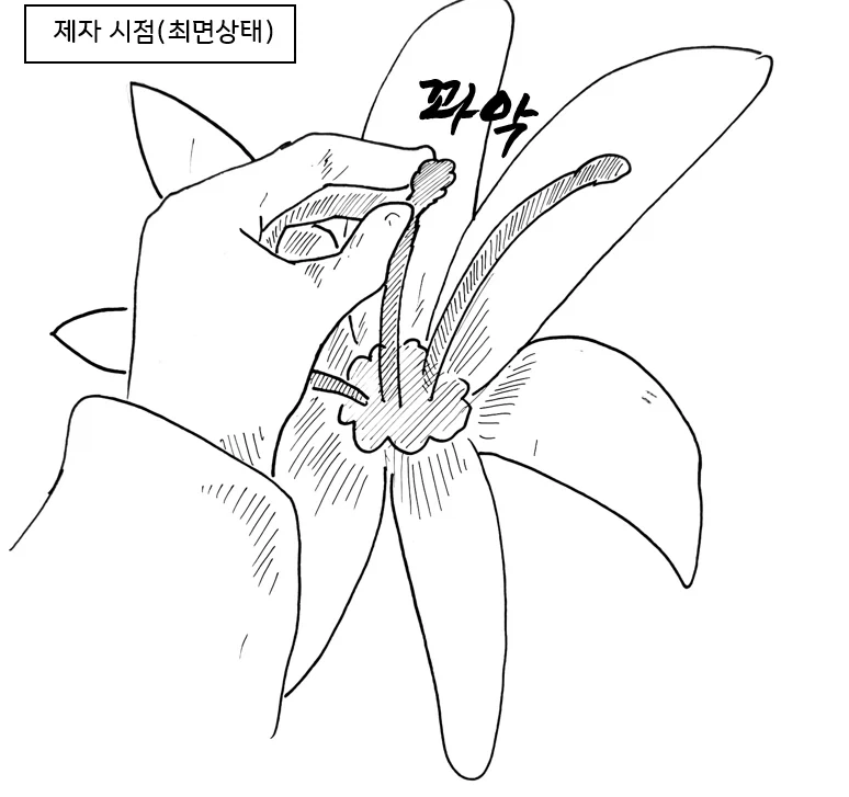 (후방)드래곤 스승님하고 xx 하고 싶은 만화.manhwa(드래곤NTR편)_24.webp